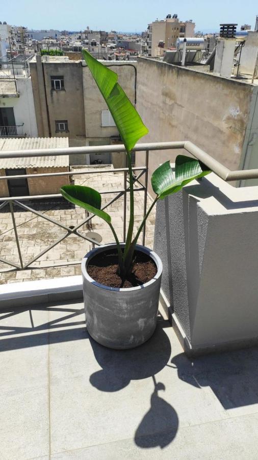 Apartment My In Greece *