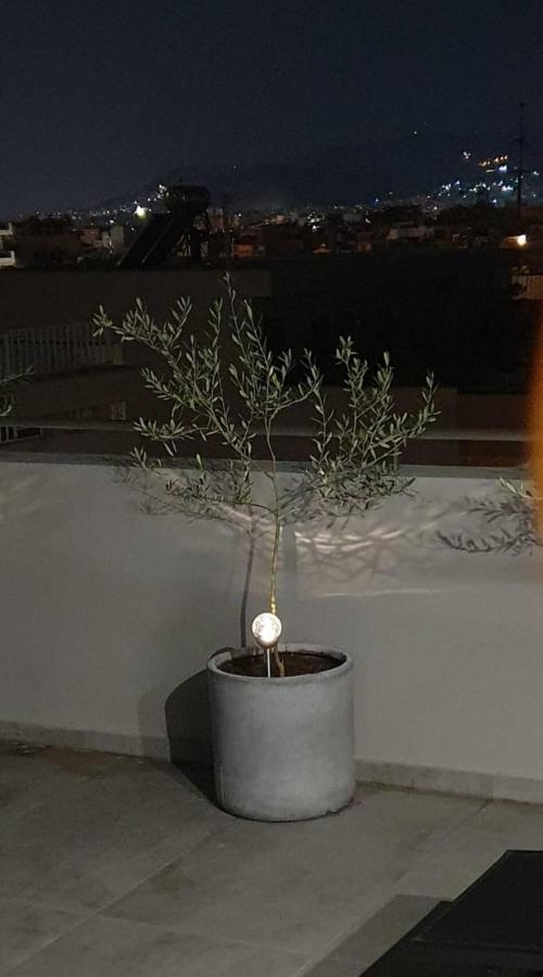 My In Greece Apartment Athen