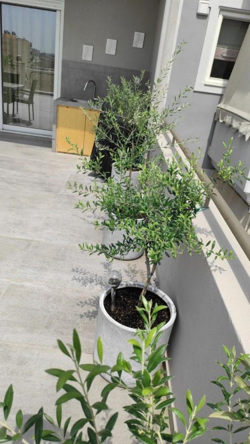 Apartment My In Greece *